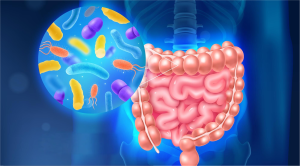 Lire la suite à propos de l’article Le microbiote intestinal, clé de notre bien-être