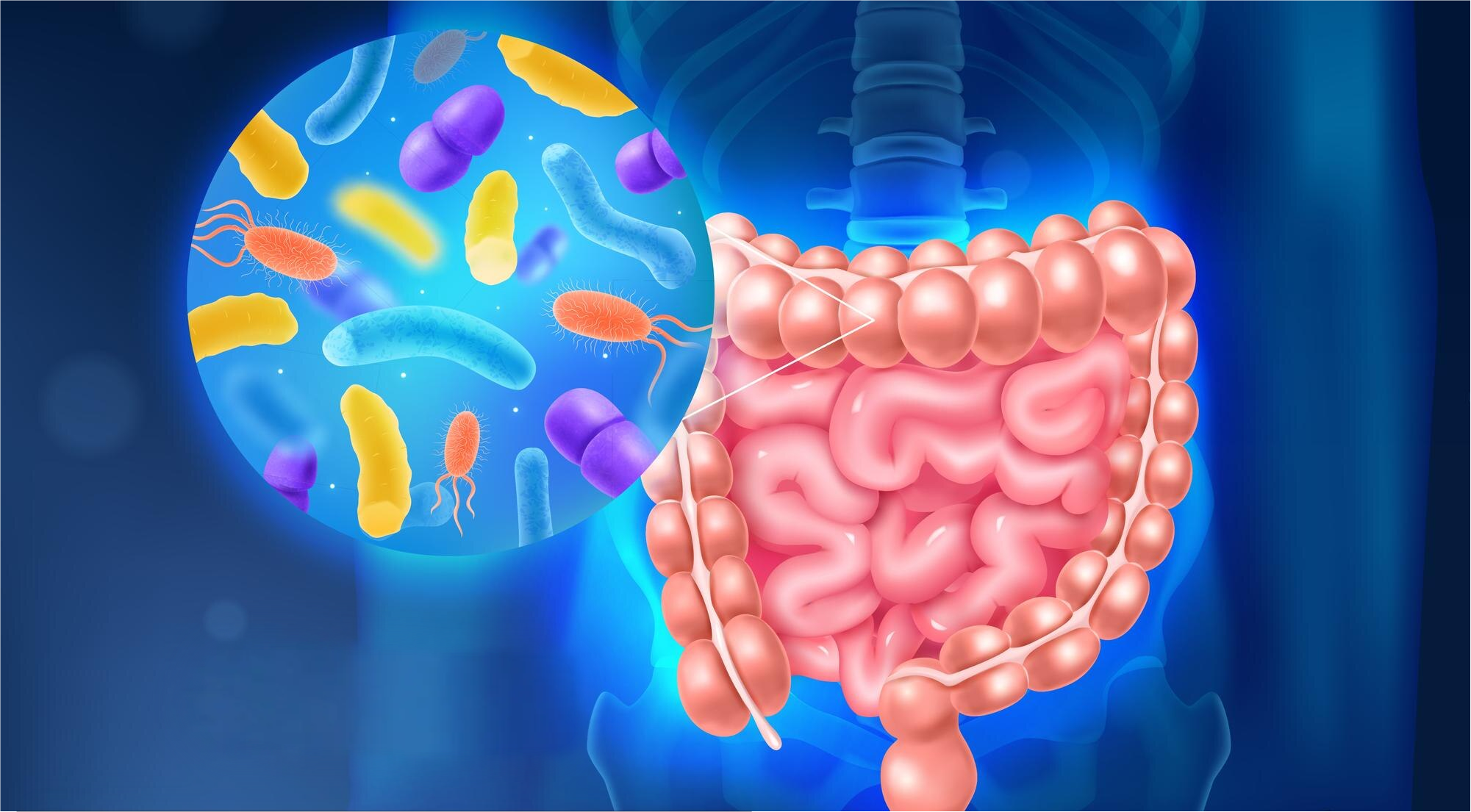 You are currently viewing Le microbiote intestinal, clé de notre bien-être